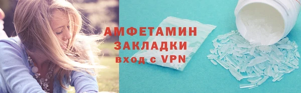 индика Пестово