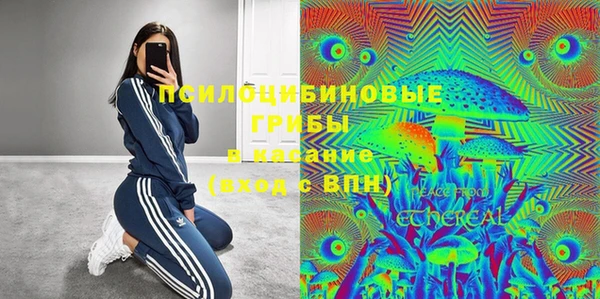 spice Алексин
