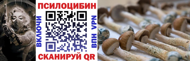 Галлюциногенные грибы Magic Shrooms Нарткала