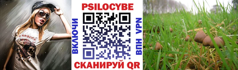 Галлюциногенные грибы Psilocybe МЕГА как войти Нарткала